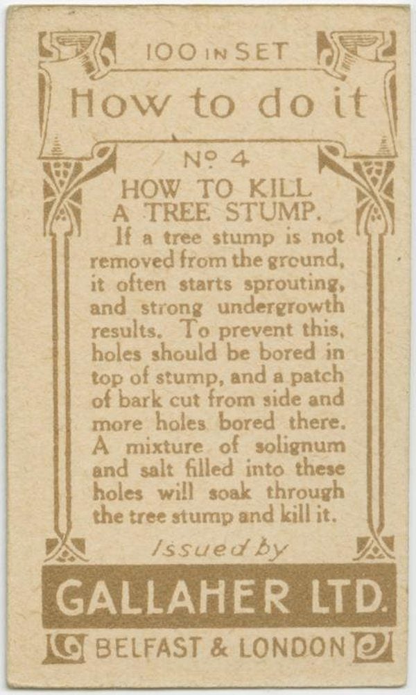 Kill Tree Stump Back