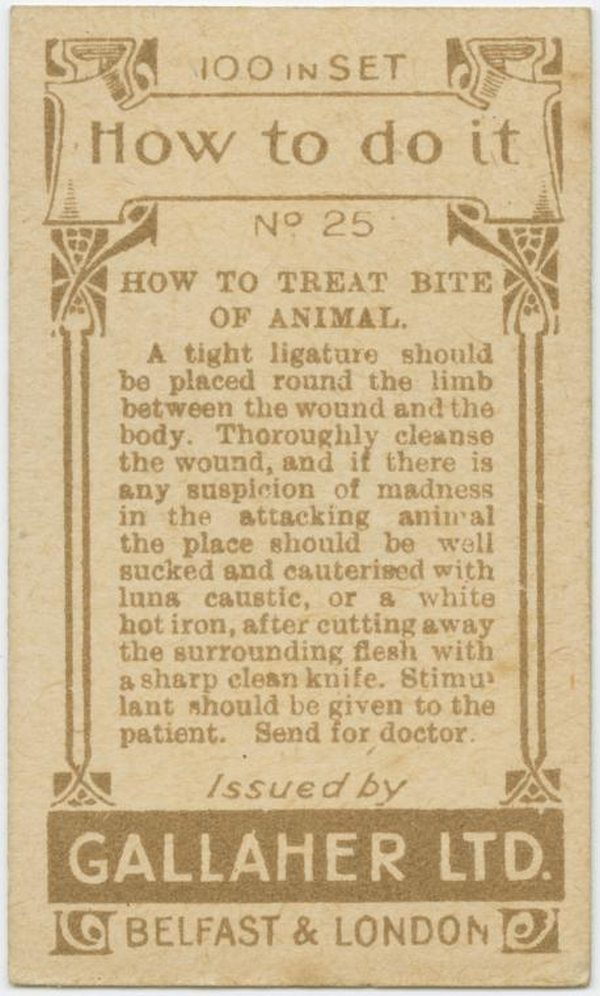 Treat An Animal Bite Back