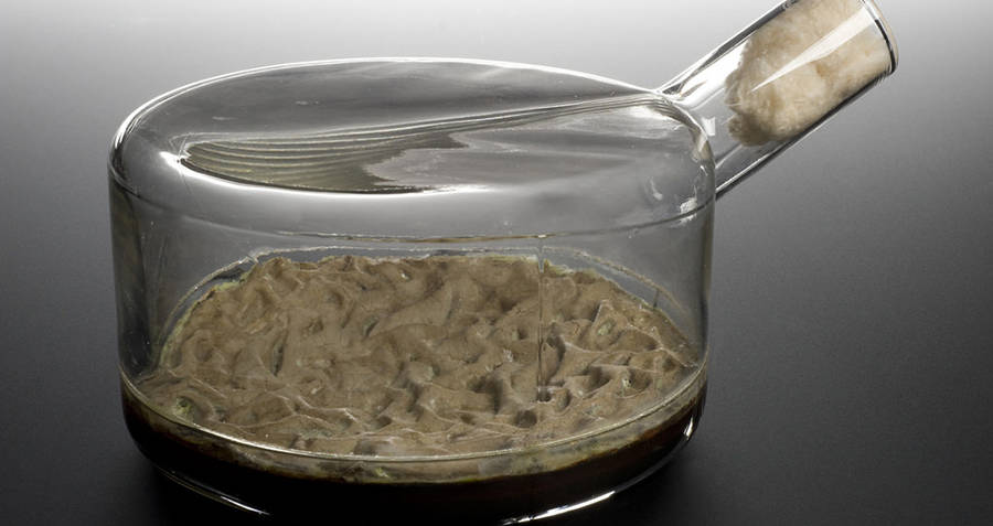 Penicillin in a glass pot