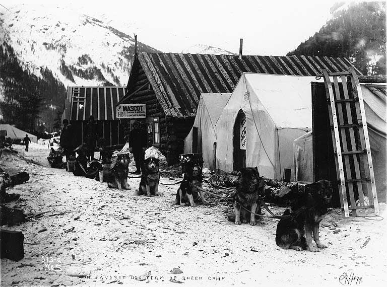Klondike Gold Rush 39 Fascinating Historical Photos