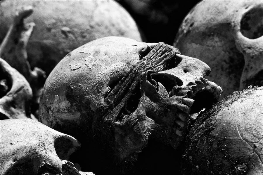 Killing Fields Skull