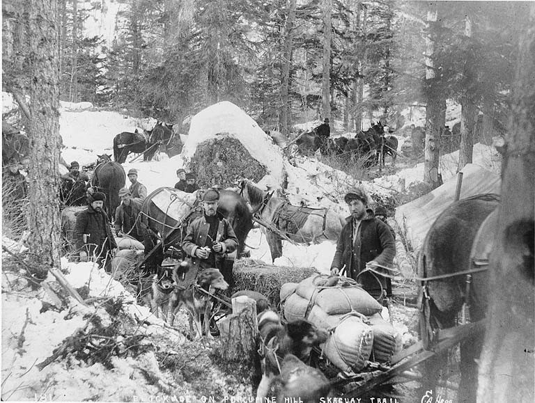 Klondike Gold Rush 39 Fascinating Historical Photos