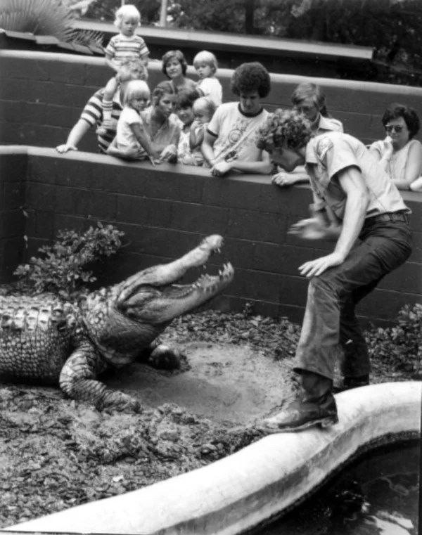Alligator Farms 33 Astounding Vintage Photographs
