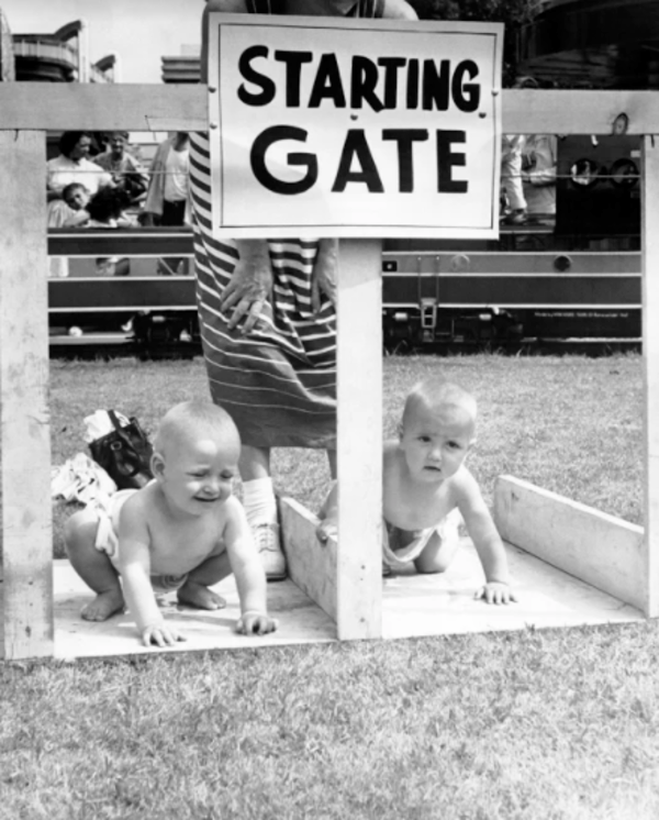Starting Gate Babies