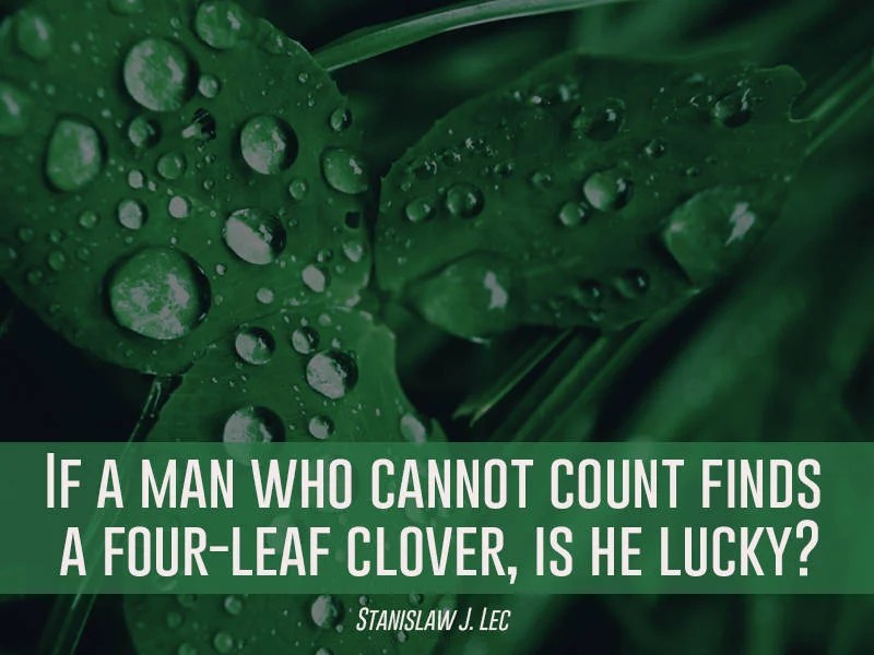 Finding A Four Leaf Clover