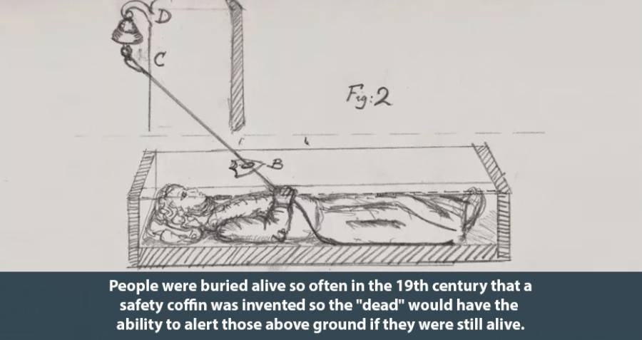 55 Interesting History Facts You Won't Learn Anywhere Else