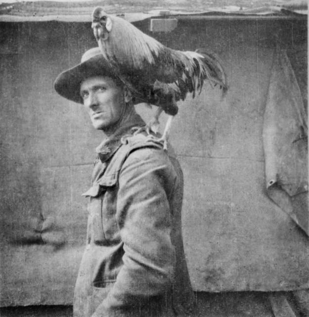 Australian Army&rsquo;s Jack The Chicken