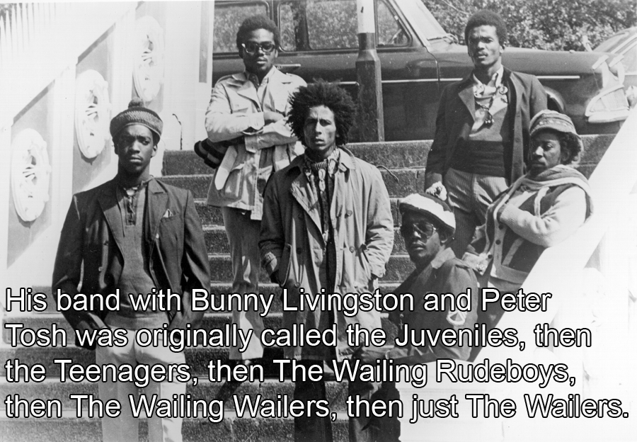 Marley With Bandmates