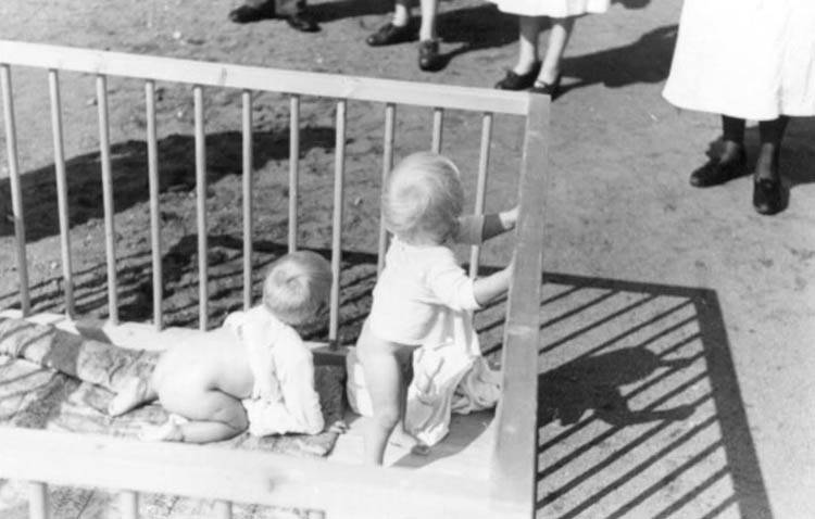 Blond Babies