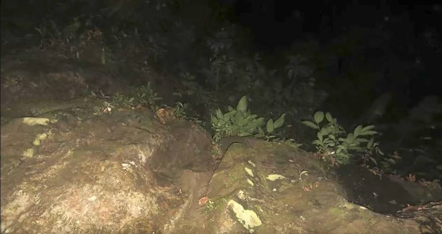 Picture From Lisanne Froon and Kris Kremer&rsquo;s Camera