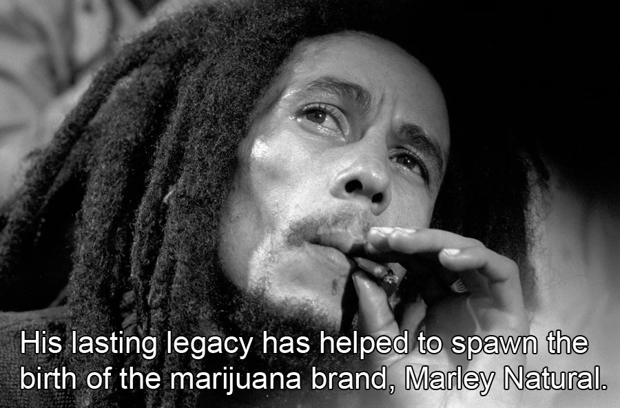 Bob Marley Facts About Marijuana