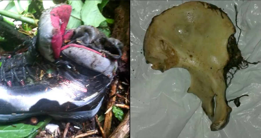 Body Parts Discovered