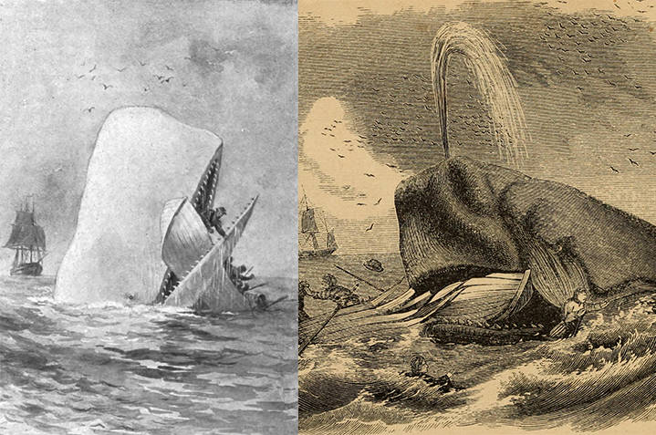Mocha Dick and Moby Dick