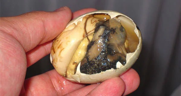 Introducing Balut Eggs, The World's Weirdest Duck Dish