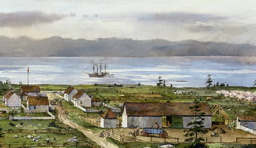 Belle Vue Sheep Farm