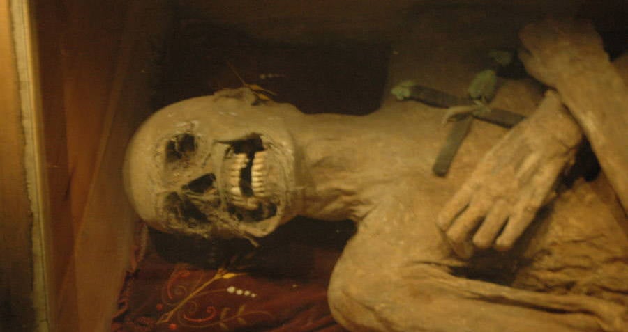 What Happens To Your Body When You Die Rotting Corpse