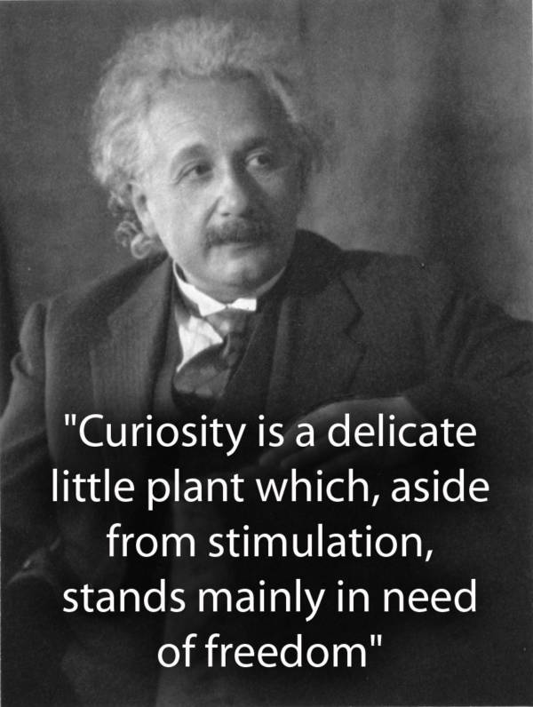 Albert Einstein Quotes On Curiosity