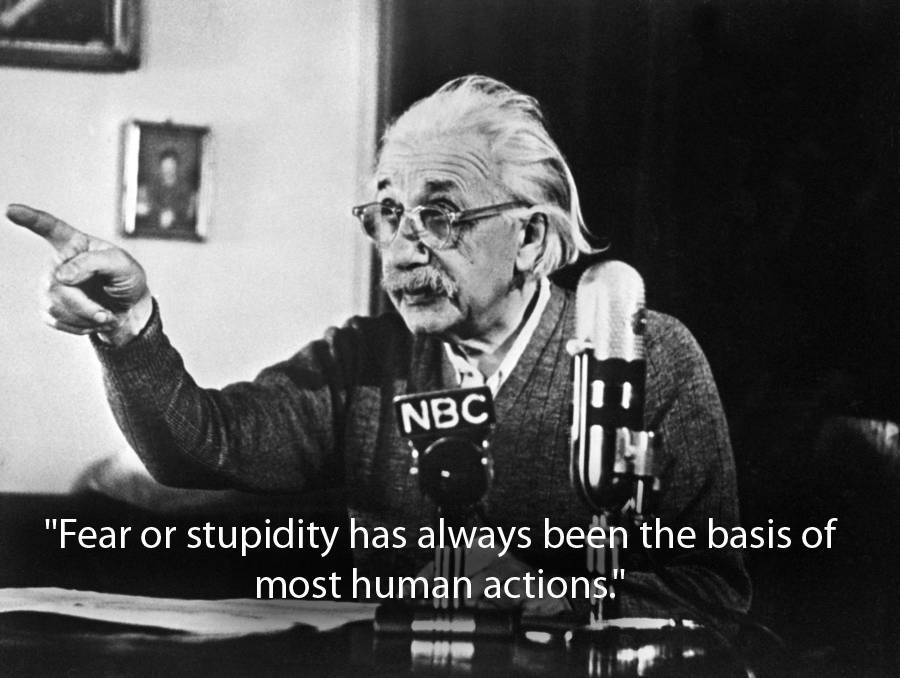 Fear Or Stupidity