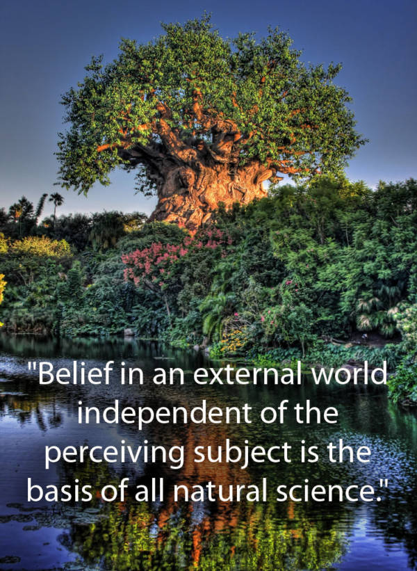Tree Of Life