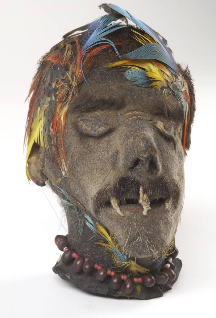 Colorful Shrunken Head