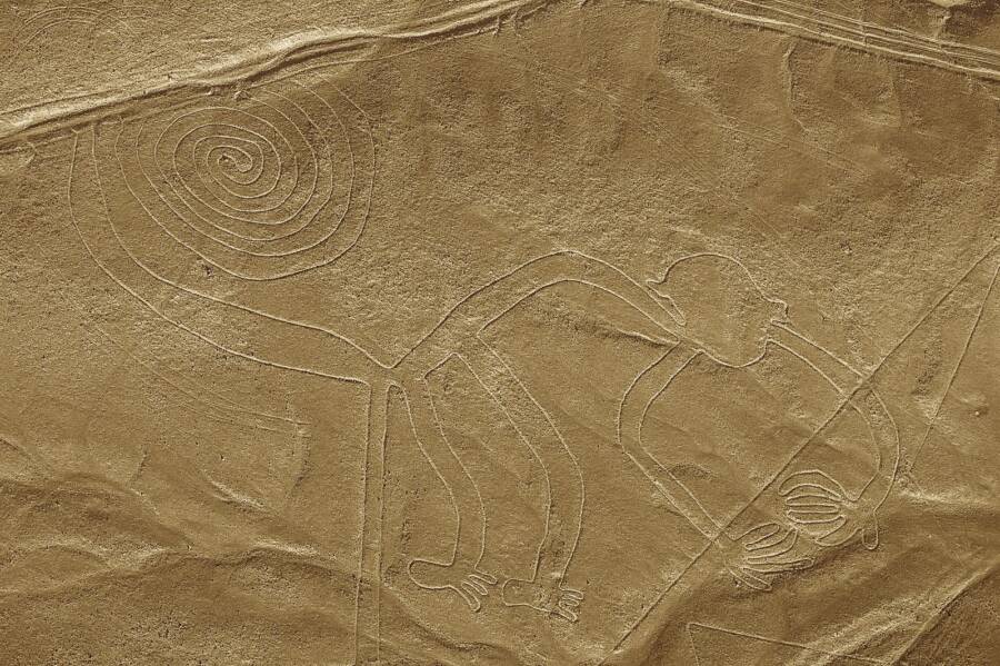 Nazca Geoglyph Monkey