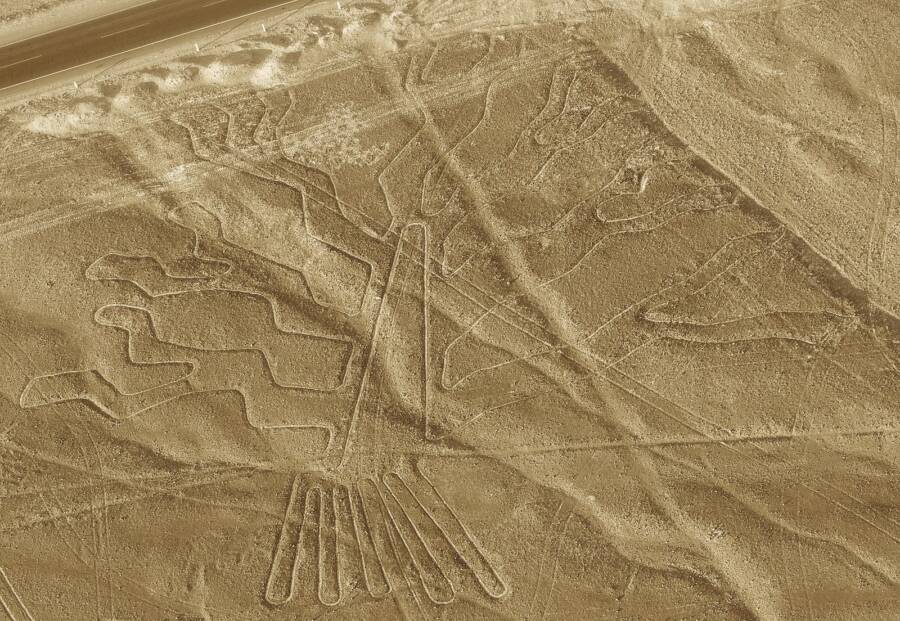 Peru Nazca Lines Tree
