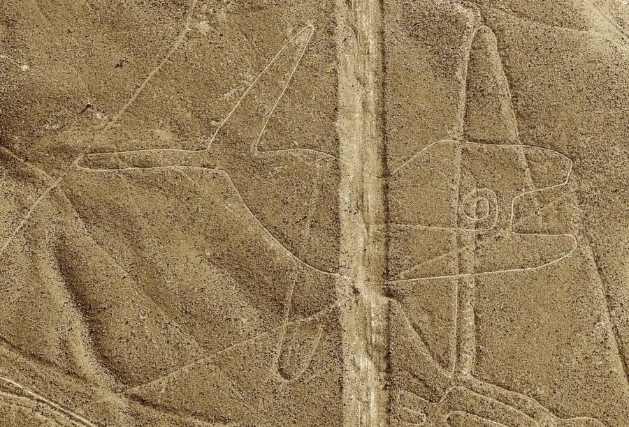 Whale Geoglyph