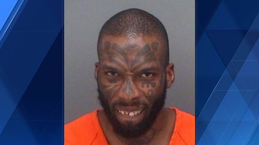 Florida Man Climbs On Playground To Tell Kids Where Babies Come From