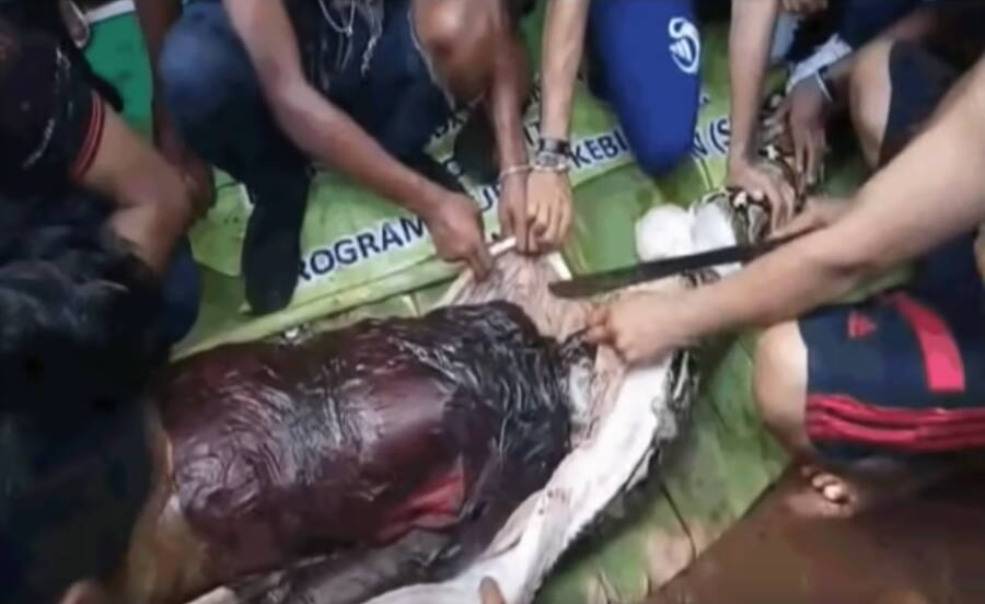 Woman Swallowed By Python