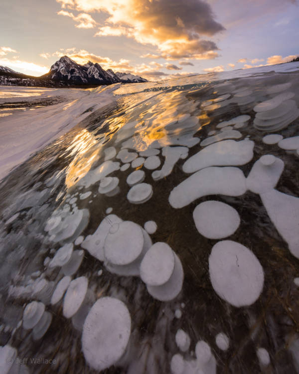 Lake Abraham Methane Bubbles