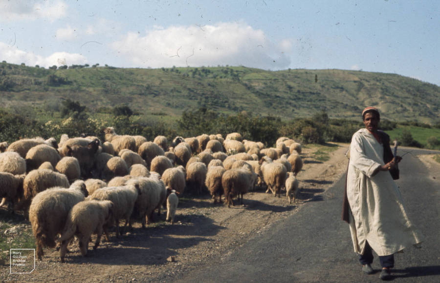 The Berbers The North African Nomads Who Live In The Sahara Desert