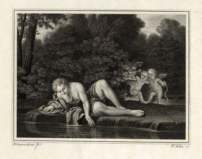 Narcissus Reflection