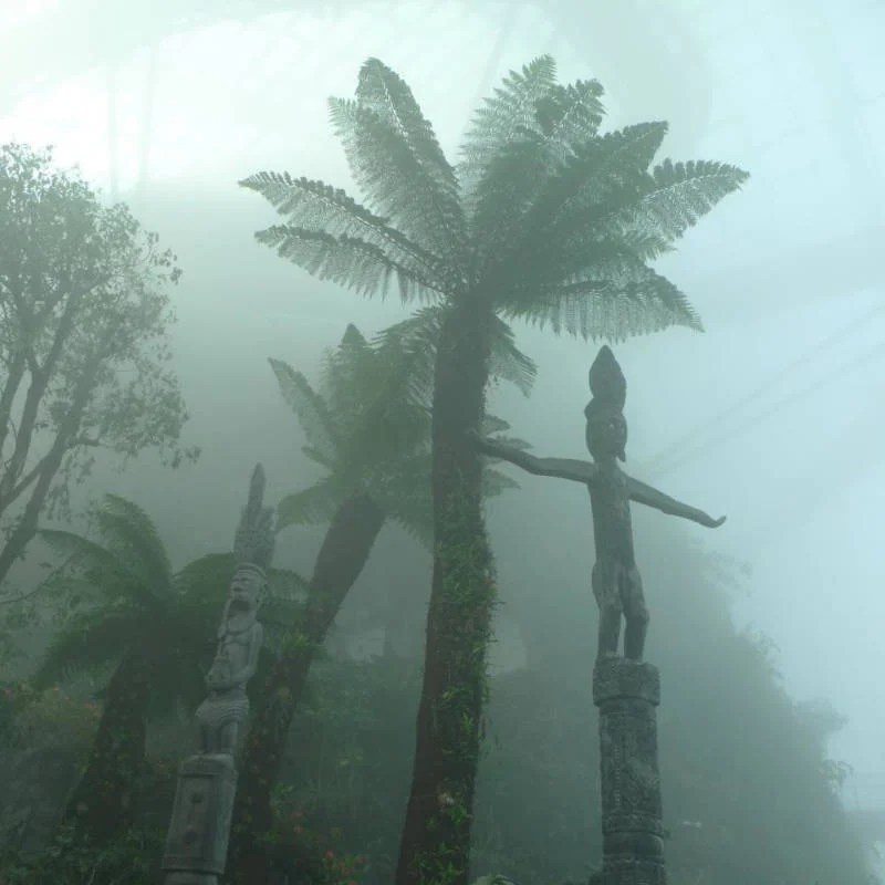 Singapore Cloud Forest