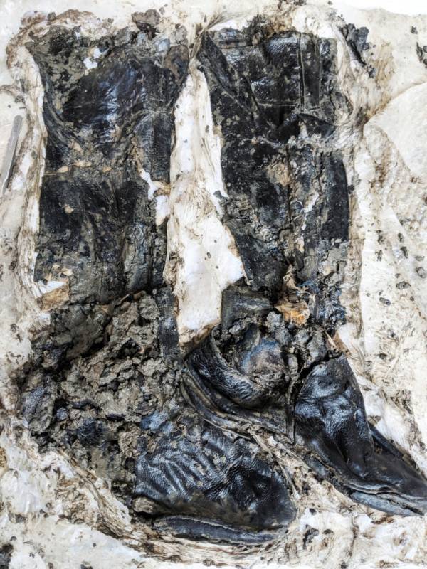 Skeleton Leather Boots