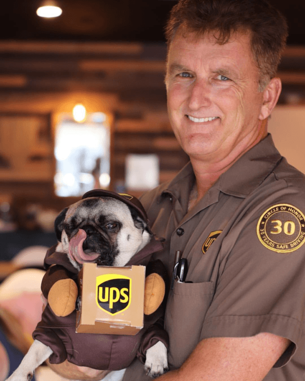 UPS Dogs, The Facebook Group, Is Taking The By Storm