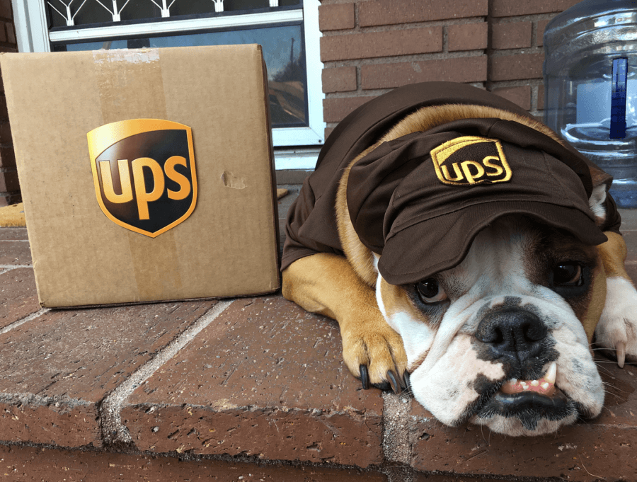 UPS Dogs, The Facebook Group, Is Taking The By Storm