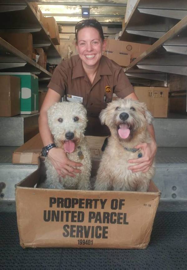 UPS Dogs, The Facebook Group, Is Taking The By Storm