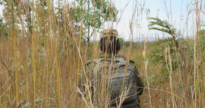 Akashinga Ranger On Patrol