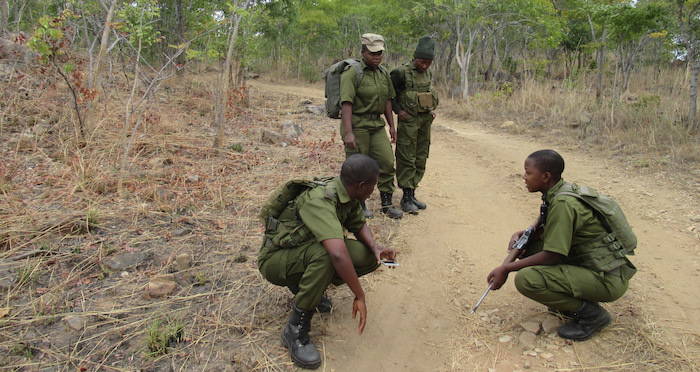 Akashinga Rangers Regroup