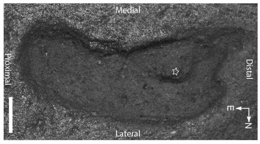 Chile Human Footprint Measurements