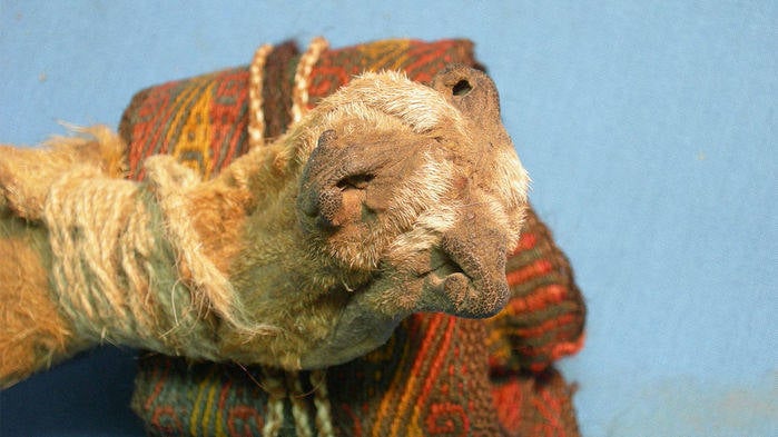 Ancient Shaman Pouch