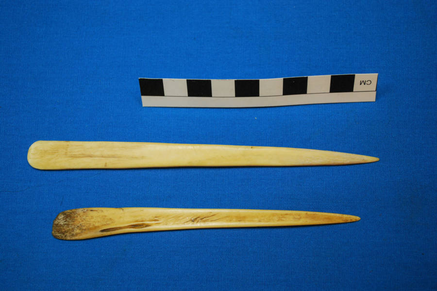 Ayahuasca Llama Bones
