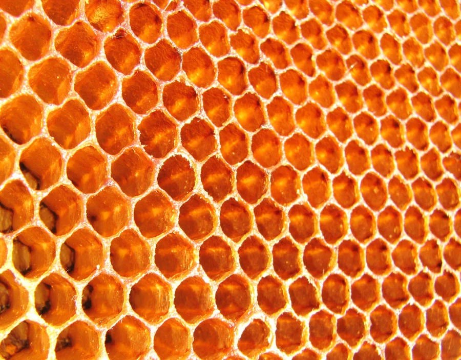 Honeycomb Trypophobia Trigger