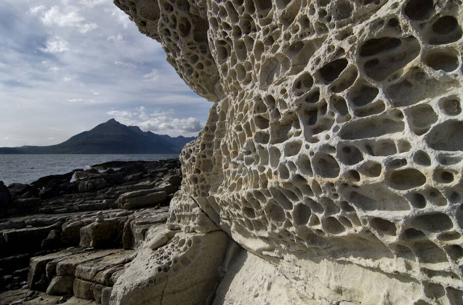 Trypophobia Image Of A Rock Formation