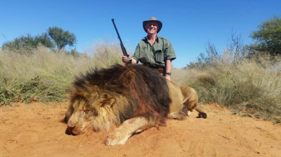 Trophy Hunting Couple Kiss Over Dead Lion's Corpse