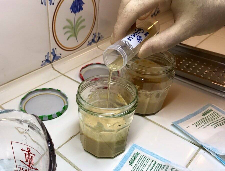 Ancient Egyptian Yeast