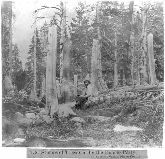 Donner Party Trees