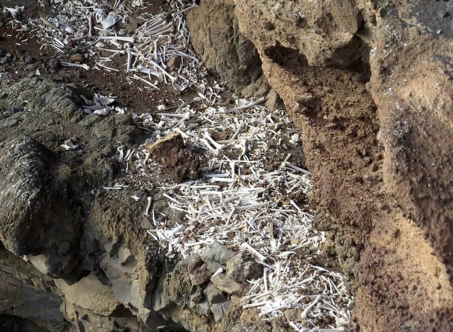 Aerial Shot Of Guanche Bones