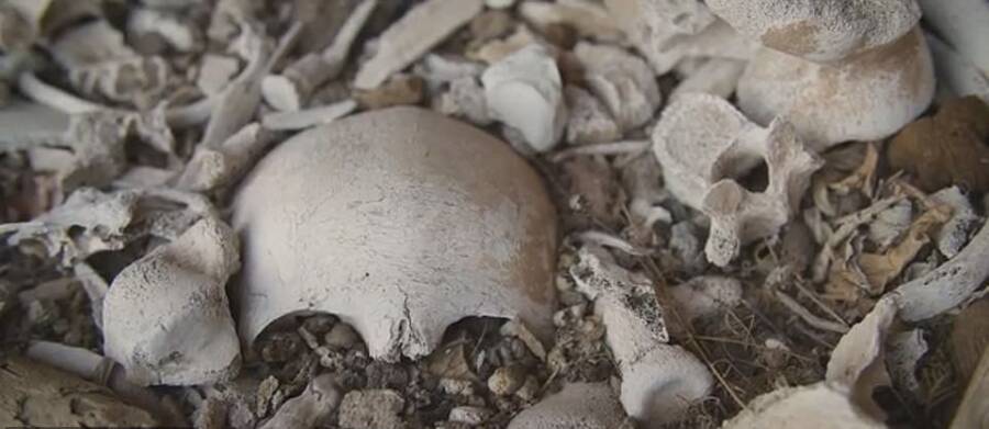 Skulls And Bones Of Guanche People