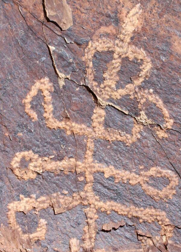 Half Man Mantis Iran